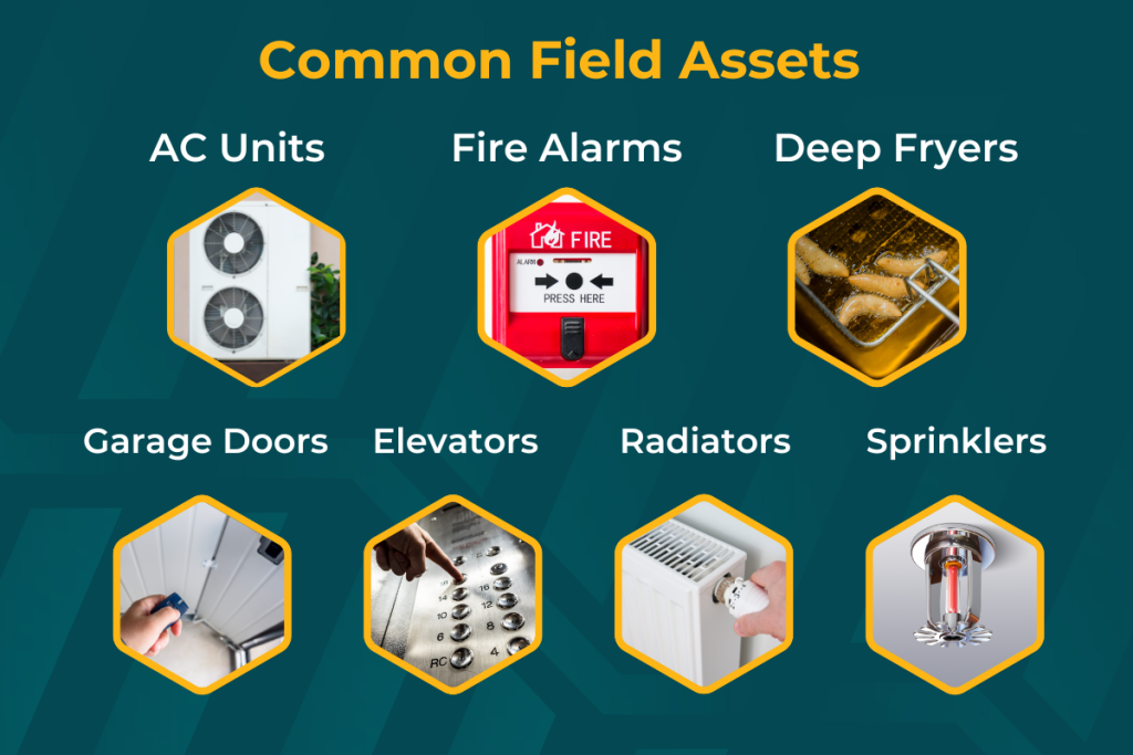 common field assets chart