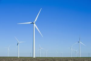 wind turbines in field